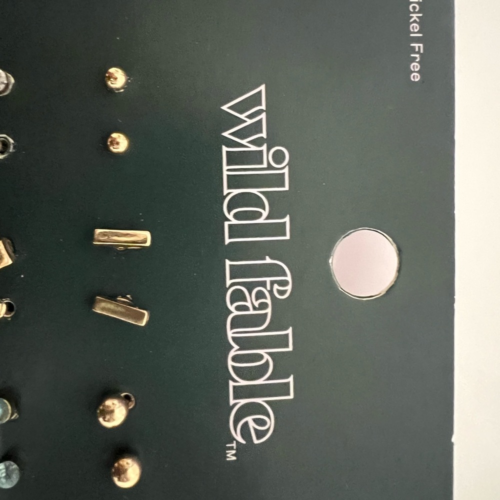 ⭐️ Firm Price ⭐️ Nickel free earrings - Picture 4 of 4